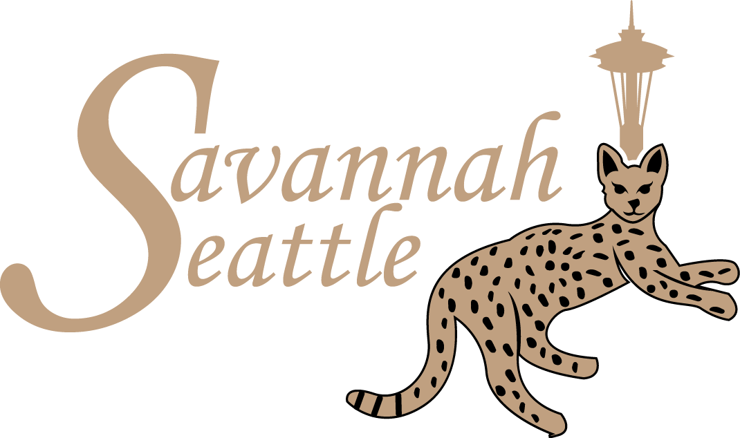 Savannah Seattle